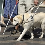 Unterwegs mit einem Blindenführhund. Bild: tbsv.org