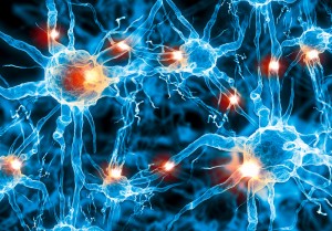 Abbildung von Nervenzellen im Gehirn Bild: Sergey Nivens / Shutterstock.com