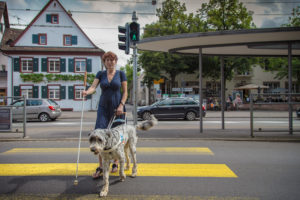Eine Frau überquert mit ihrem Führhund die Strasse.